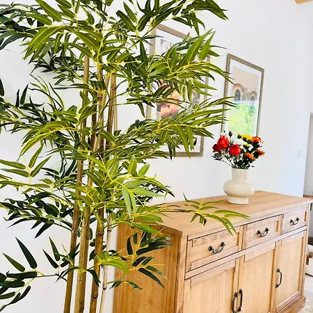 Du Dousset Casa vacanze Esclottes